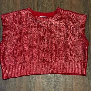 Day + Moon Metallic Chunky Cable knit Sweater Sz Small
